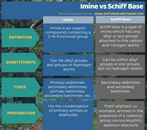 schiff plural|schiff base vs imine.